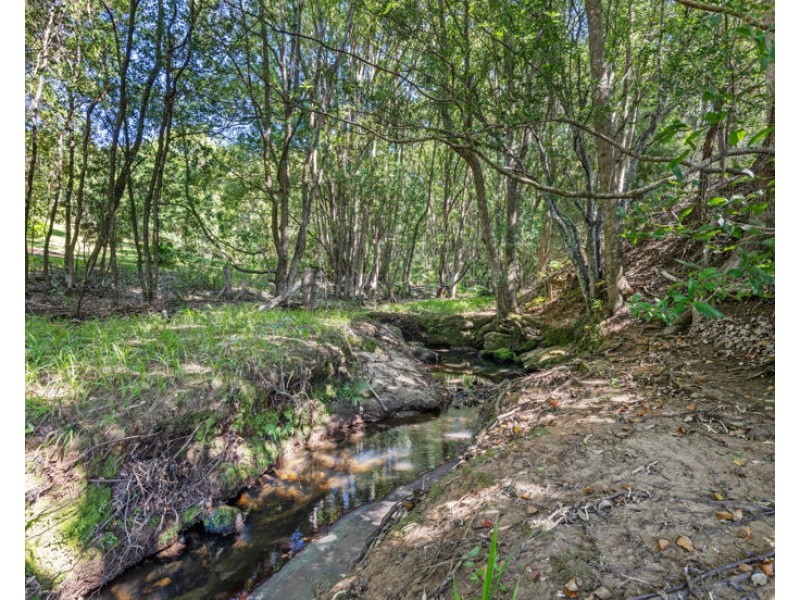 402 Zara Road, Zara NSW 2484