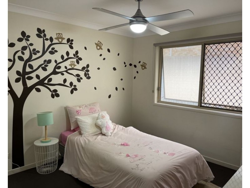 20 Oakbank Terrace, Murwillumbah NSW 2484