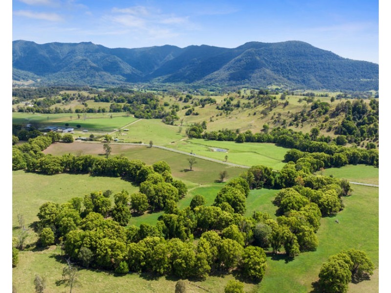 149 Pumpenbil Road, Tyalgum NSW 2484