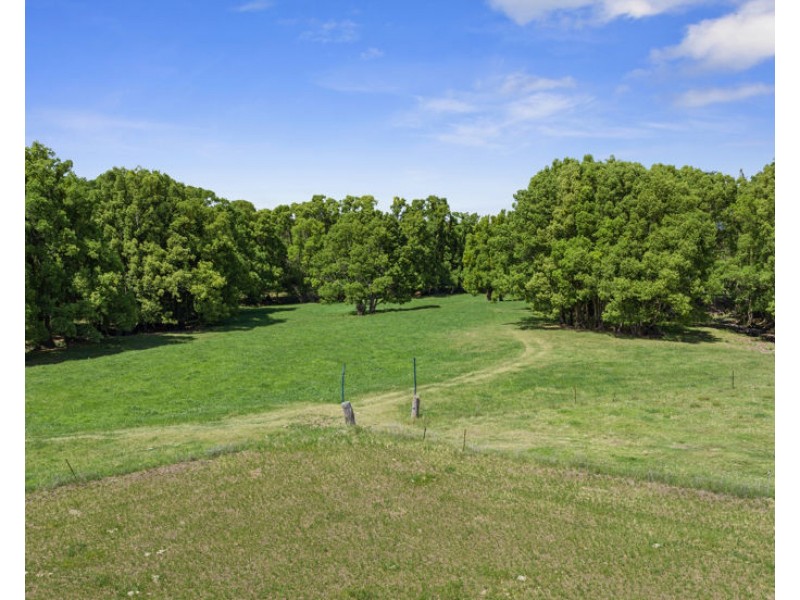 149 Pumpenbil Road, Tyalgum NSW 2484