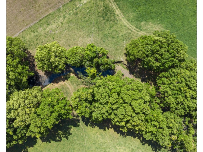 149 Pumpenbil Road, Tyalgum NSW 2484