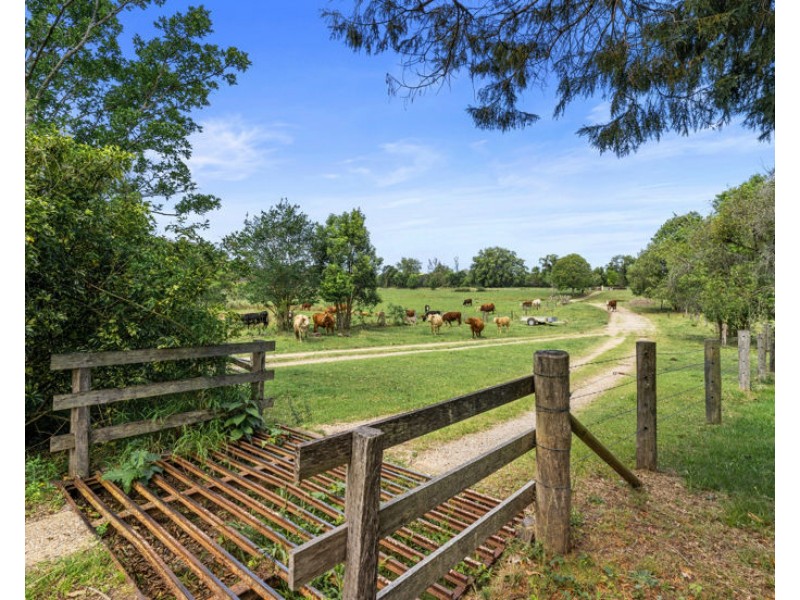 198-220 Tyalgum Road, Murwillumbah NSW 2484