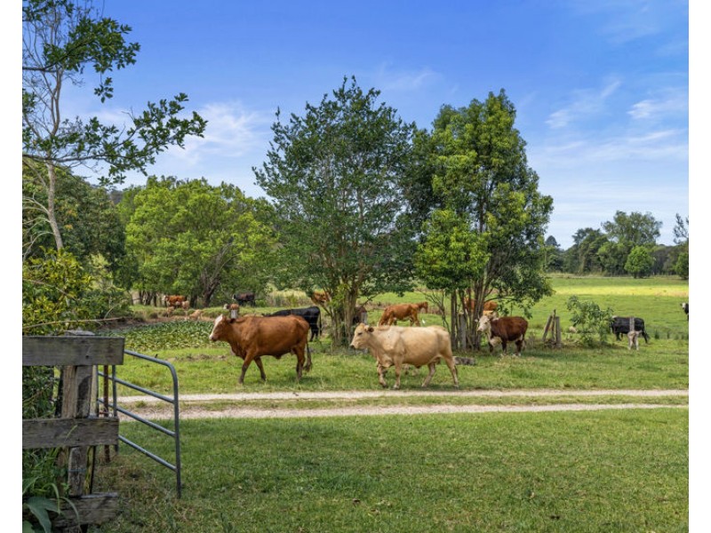 198-220 Tyalgum Road, Murwillumbah NSW 2484