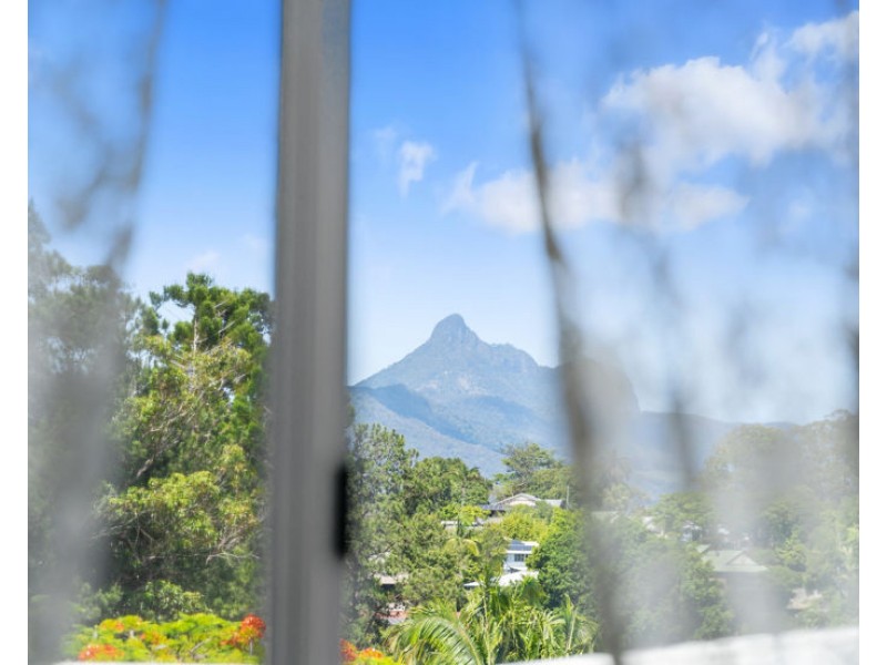 79 Ewing Street, Murwillumbah NSW 2484