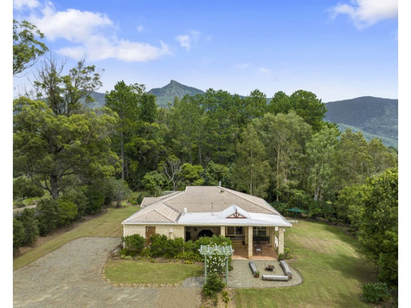 346 Pinnacle Road, Pumpenbil NSW 2484