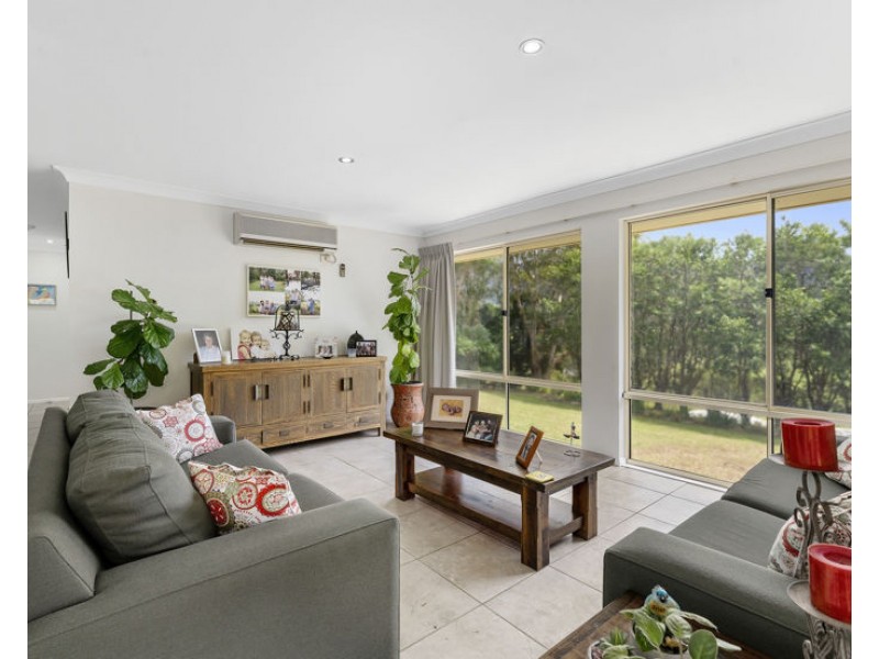 346 Pinnacle Road, Pumpenbil NSW 2484