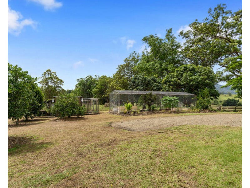 346 Pinnacle Road, Pumpenbil NSW 2484