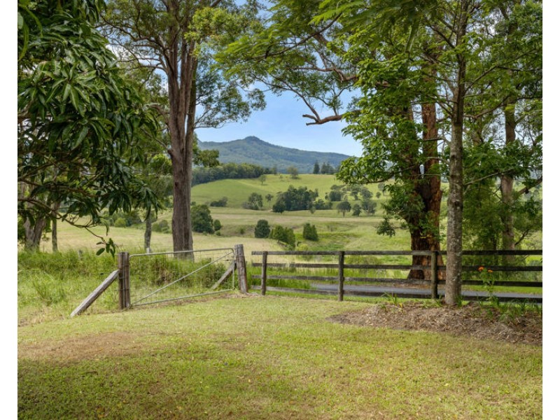 346 Pinnacle Road, Pumpenbil NSW 2484