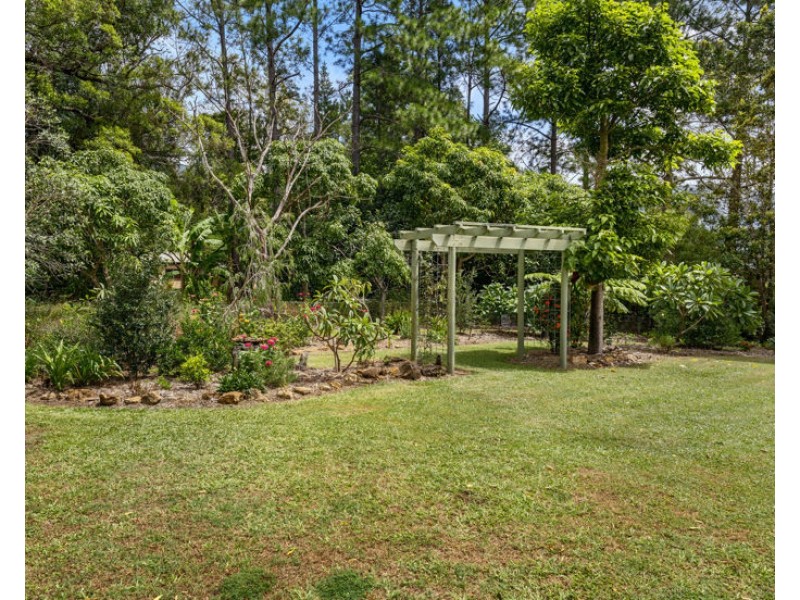 346 Pinnacle Road, Pumpenbil NSW 2484