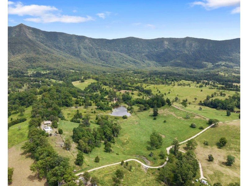 346 Pinnacle Road, Pumpenbil NSW 2484