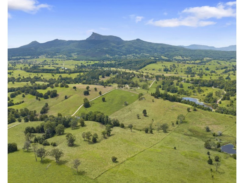 346 Pinnacle Road, Pumpenbil NSW 2484