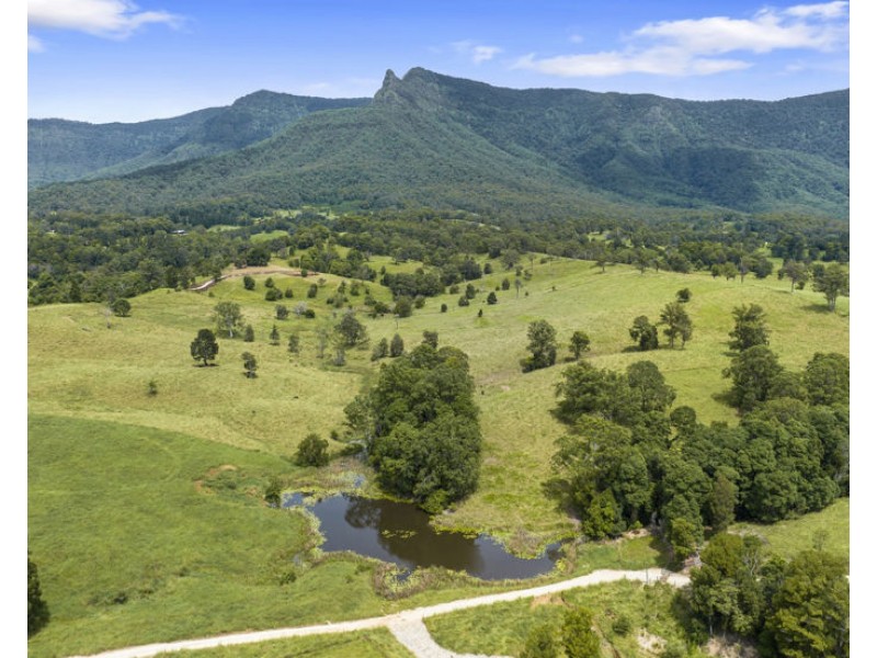 346 Pinnacle Road, Pumpenbil NSW 2484