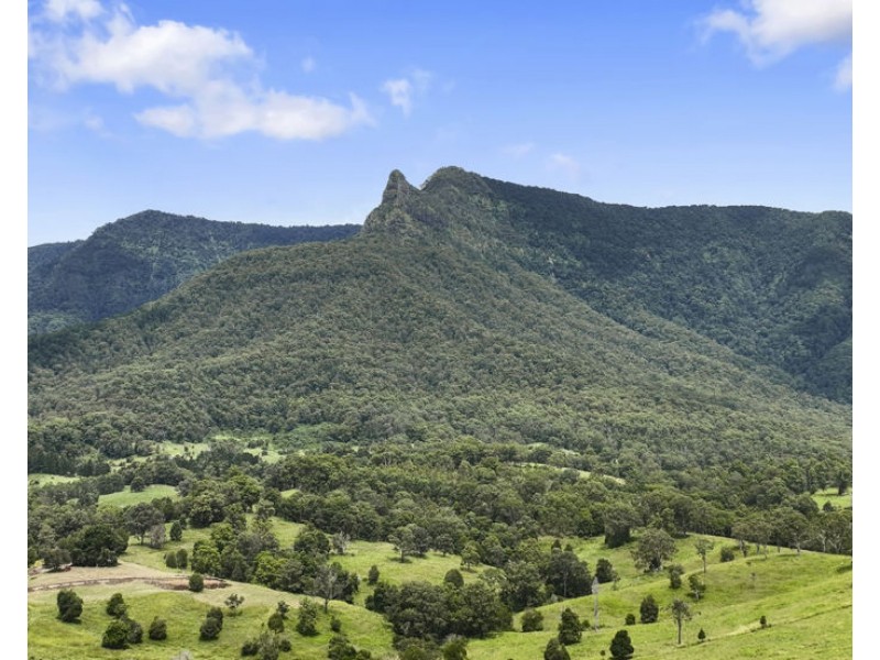 346 Pinnacle Road, Pumpenbil NSW 2484