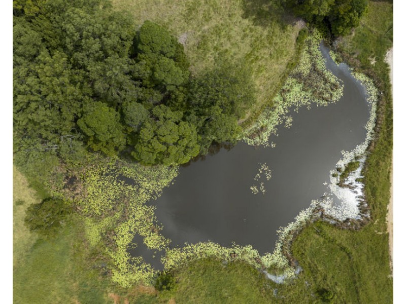 346 Pinnacle Road, Pumpenbil NSW 2484