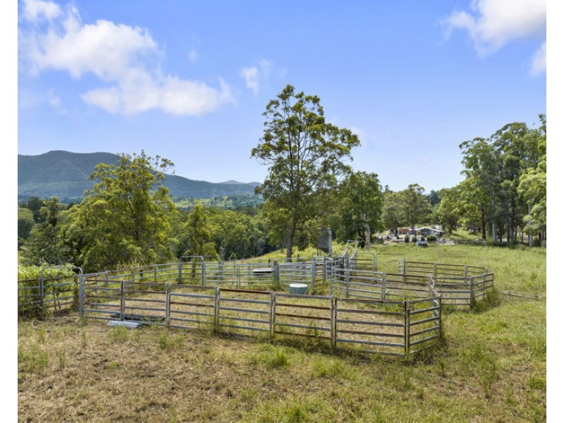 346 Pinnacle Road, Pumpenbil NSW 2484