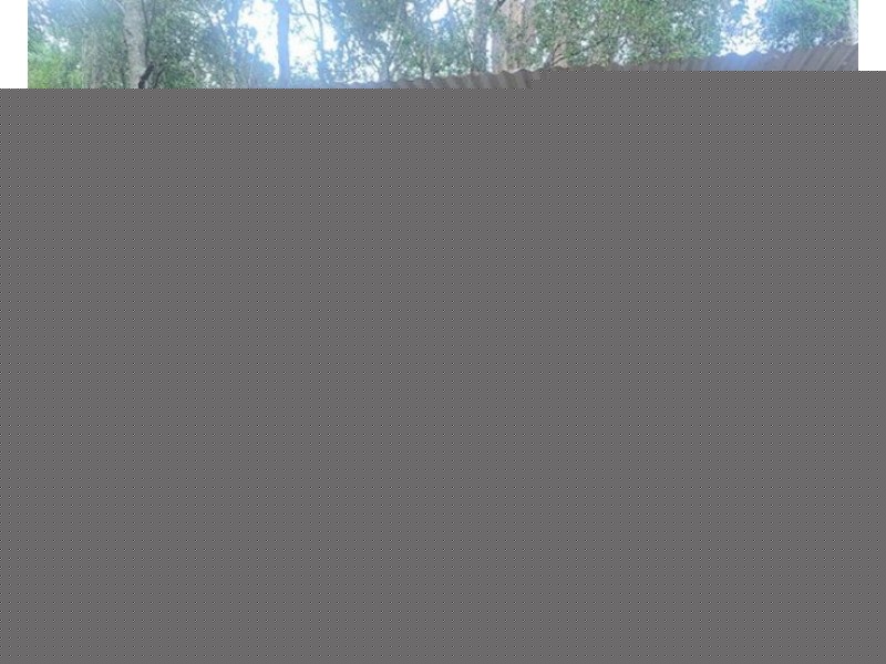 163 Chowan Creek Road, Uki NSW 2484