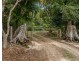 94 Davis Road, Tyalgum Creek NSW 2484