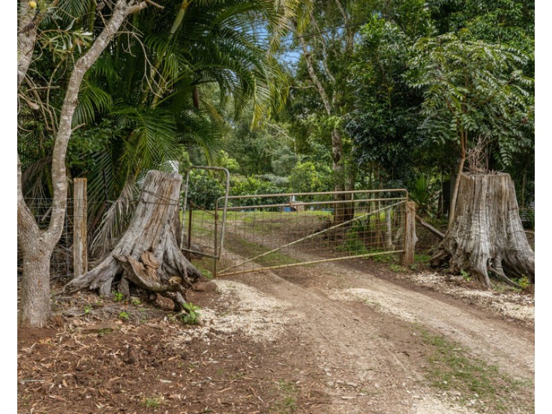 94 Davis Road, Tyalgum Creek NSW 2484