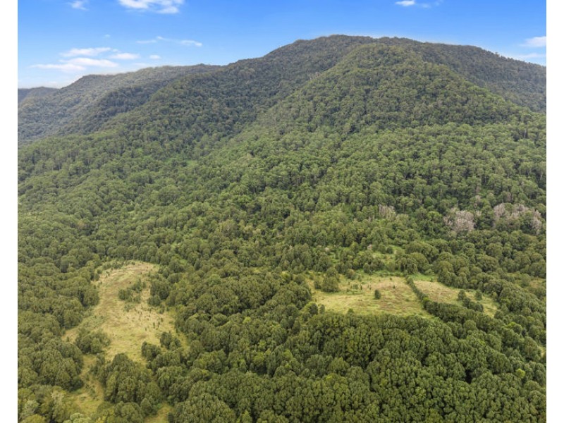 94 Davis Road, Tyalgum Creek NSW 2484