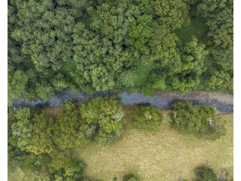 94 Davis Road, Tyalgum Creek NSW 2484