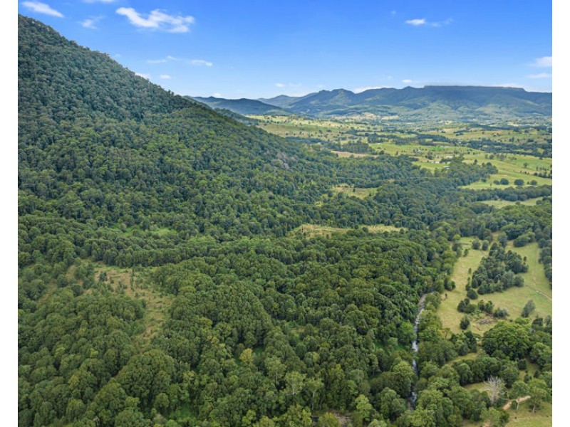 94 Davis Road, Tyalgum Creek NSW 2484