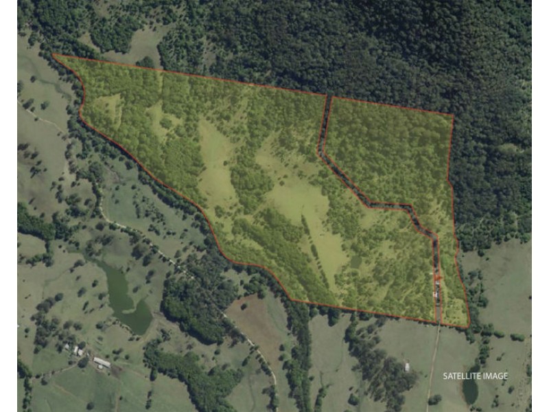 94 Davis Road, Tyalgum Creek NSW 2484
