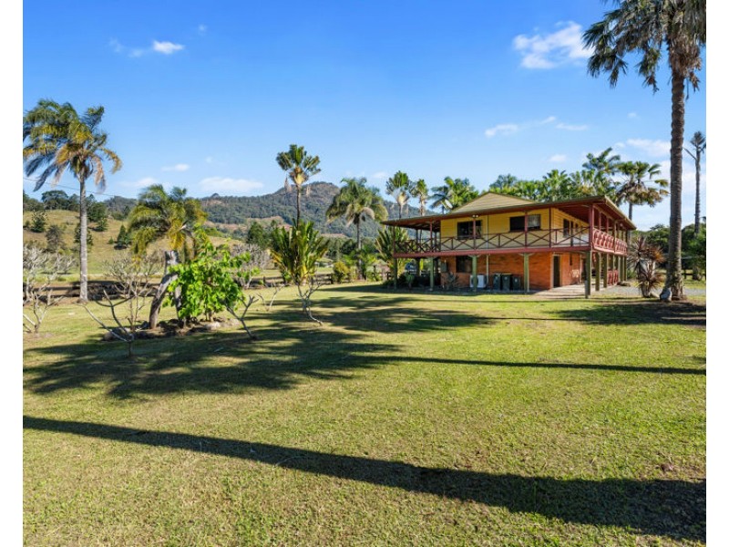 692 Tyalgum Road, Eungella NSW 2484