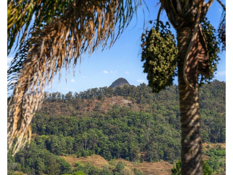 692 Tyalgum Road, Eungella NSW 2484