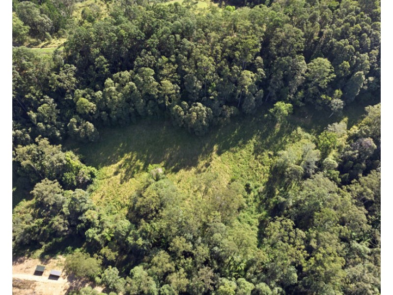 Lot 15/1283 Byrrill Creek Road, Brays Creek NSW 2484