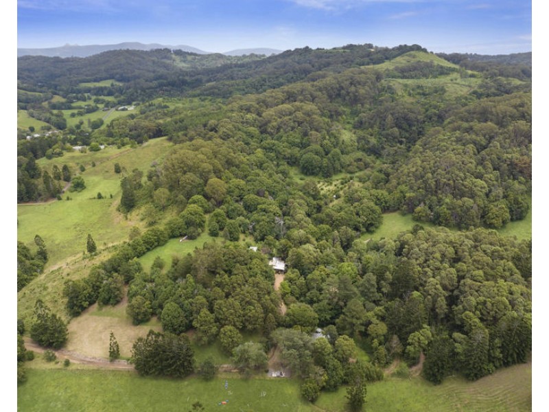 1101 Reserve Creek Road, Reserve Creek NSW 2484