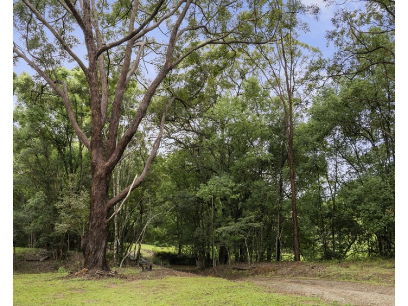 1101 Reserve Creek Road, Reserve Creek NSW 2484