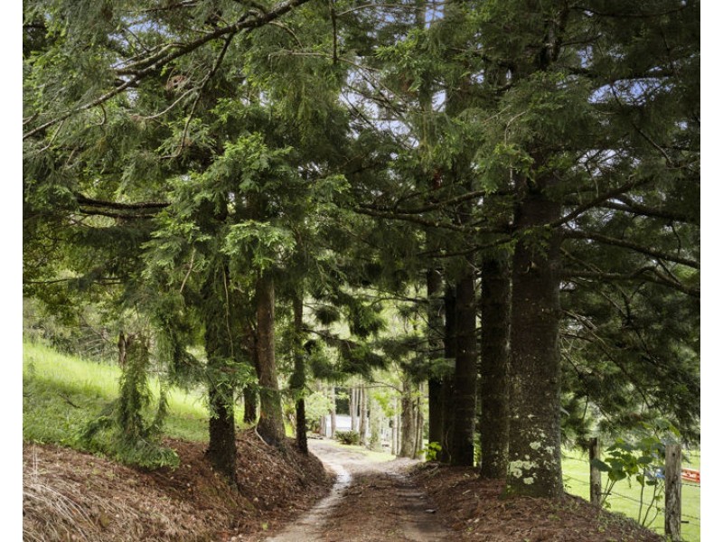 1101 Reserve Creek Road, Reserve Creek NSW 2484