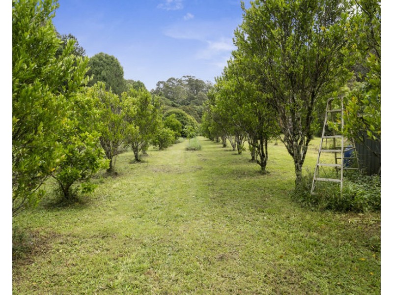 1101 Reserve Creek Road, Reserve Creek NSW 2484
