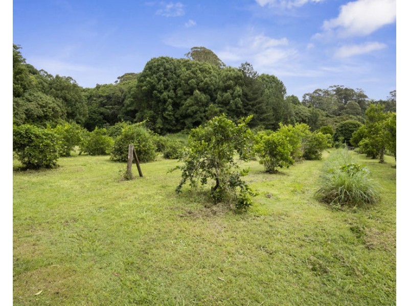 1101 Reserve Creek Road, Reserve Creek NSW 2484