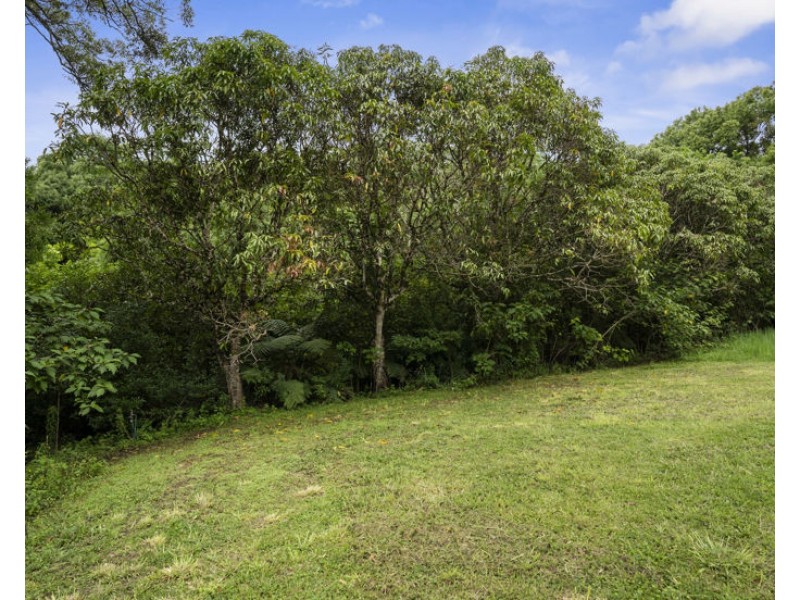 1101 Reserve Creek Road, Reserve Creek NSW 2484