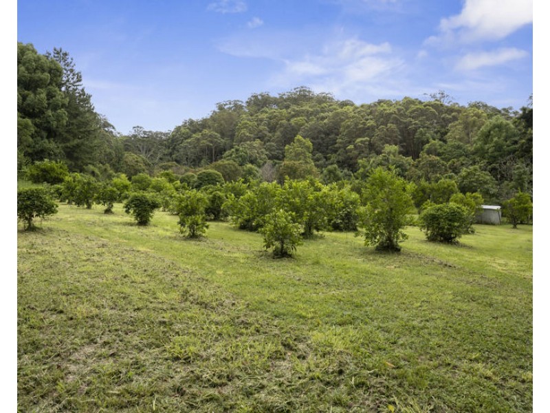 1101 Reserve Creek Road, Reserve Creek NSW 2484