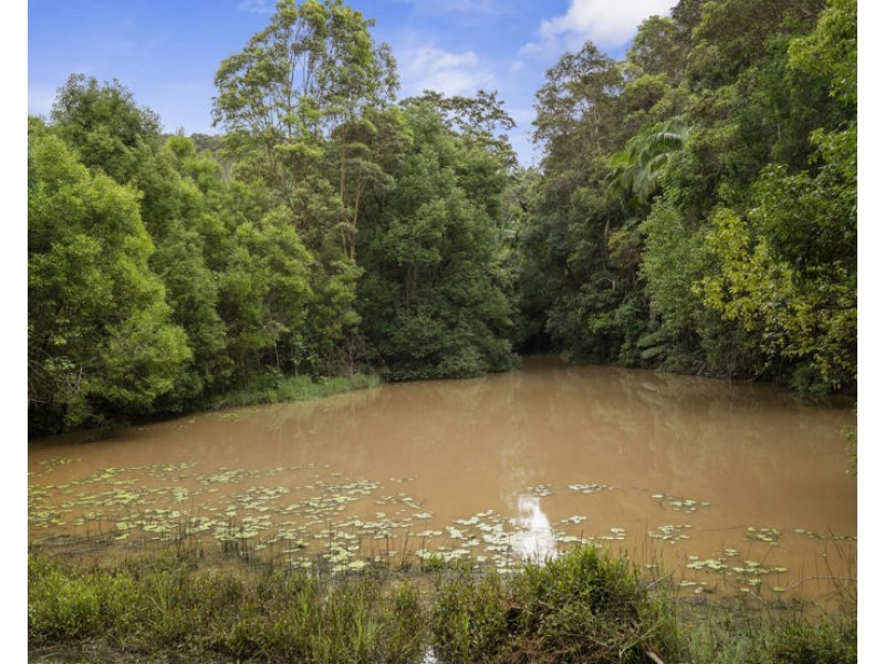 1101 Reserve Creek Road, Reserve Creek NSW 2484