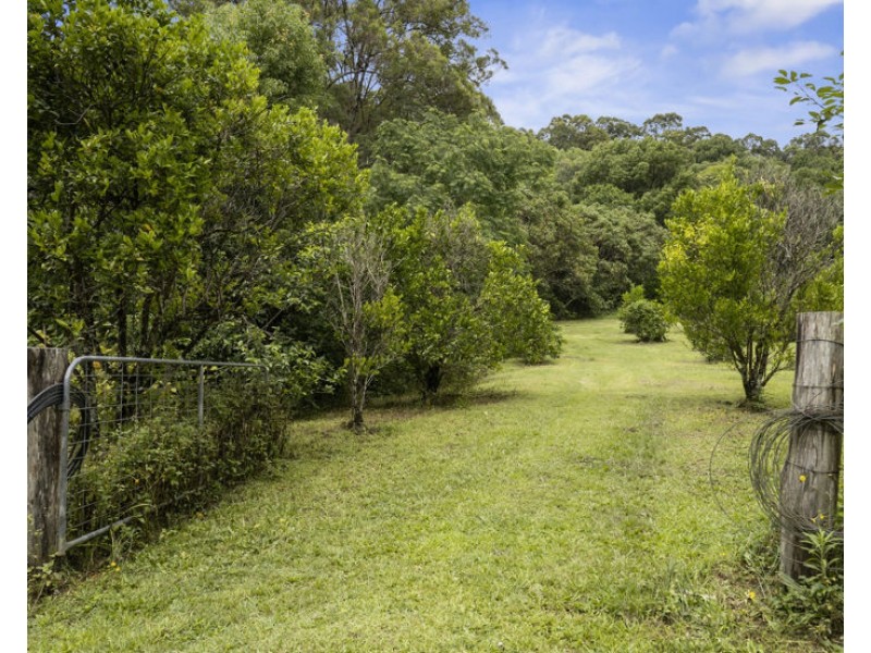 1101 Reserve Creek Road, Reserve Creek NSW 2484