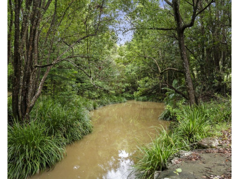 1101 Reserve Creek Road, Reserve Creek NSW 2484