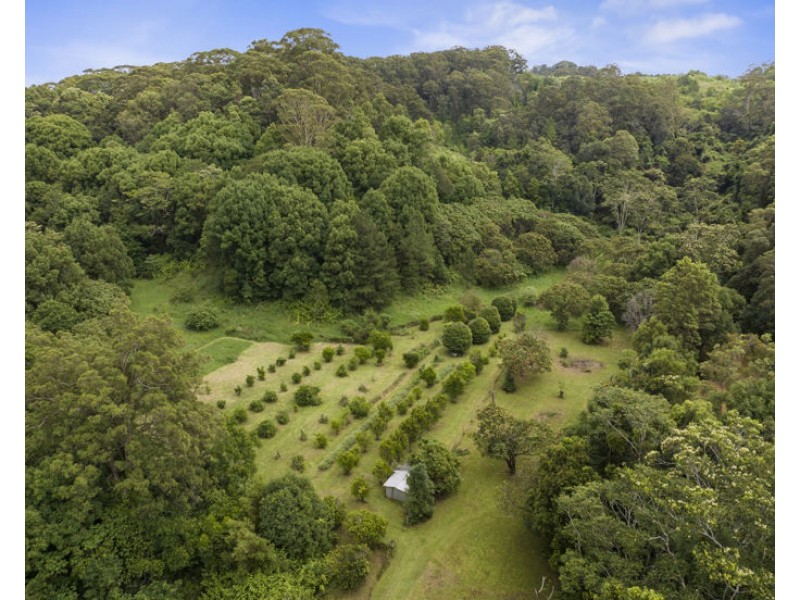 1101 Reserve Creek Road, Reserve Creek NSW 2484