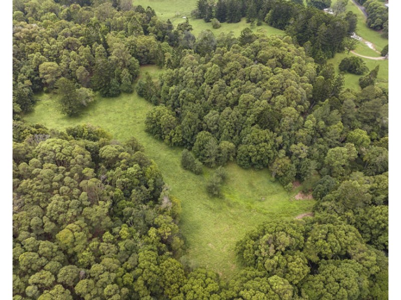 1101 Reserve Creek Road, Reserve Creek NSW 2484