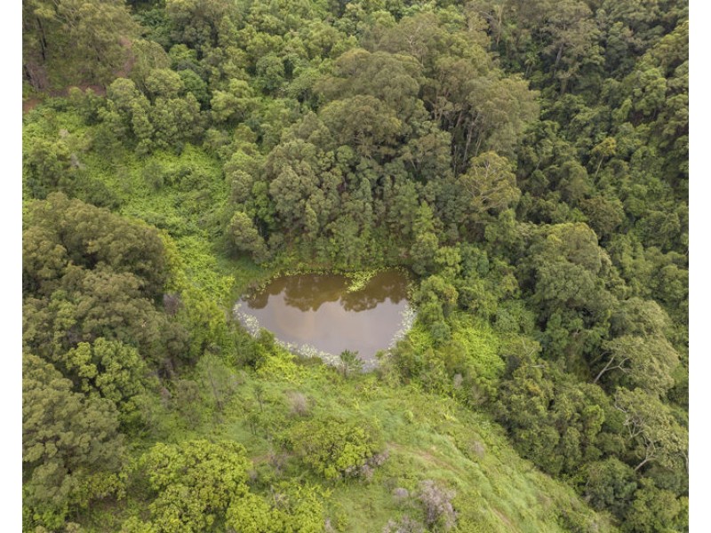 1101 Reserve Creek Road, Reserve Creek NSW 2484