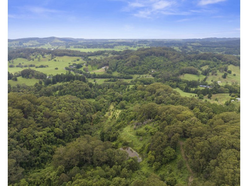 1101 Reserve Creek Road, Reserve Creek NSW 2484