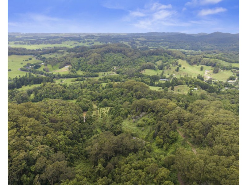 1101 Reserve Creek Road, Reserve Creek NSW 2484