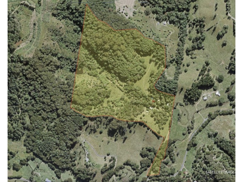 1101 Reserve Creek Road, Reserve Creek NSW 2484