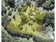 64 Braeside Drive, Uki NSW 2484