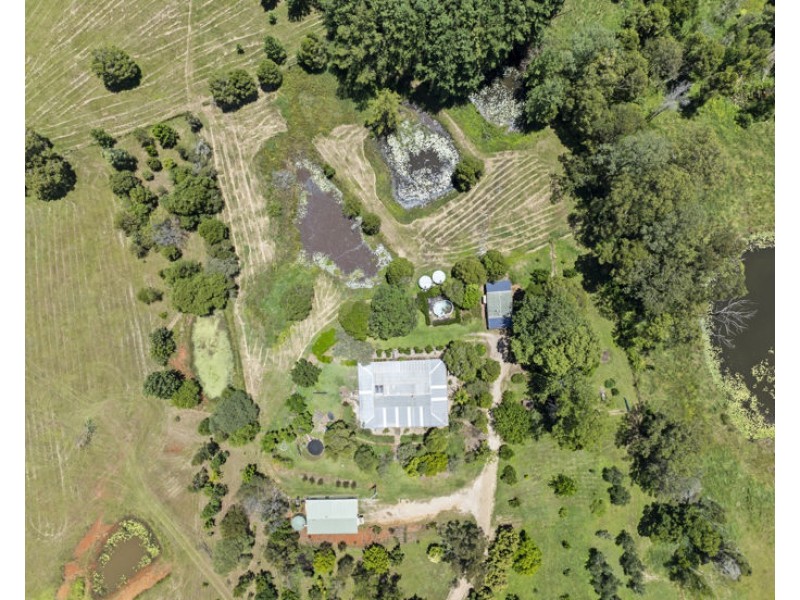 136 Pinnacle Road, Pumpenbil NSW 2484