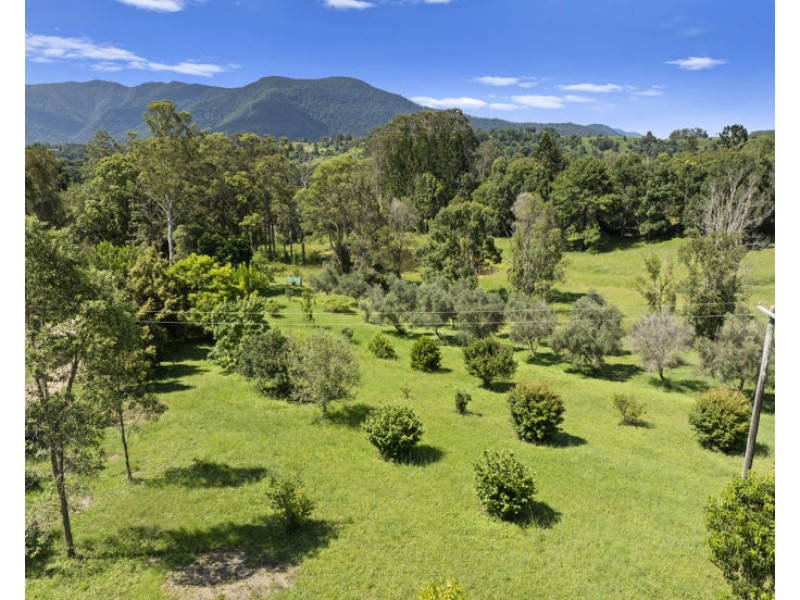 136 Pinnacle Road, Pumpenbil NSW 2484