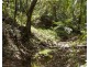 150 Braeside Drive, Uki NSW 2484