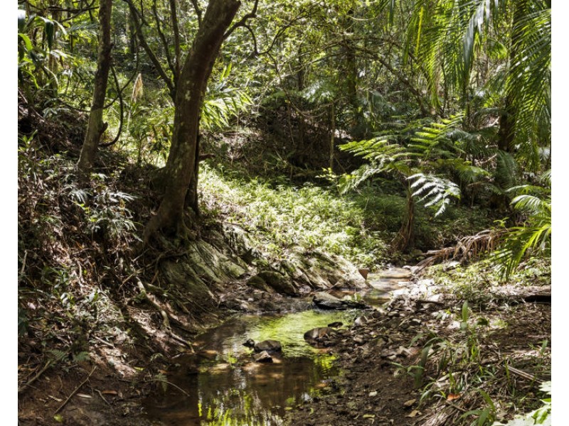 150 Braeside Drive, Uki NSW 2484